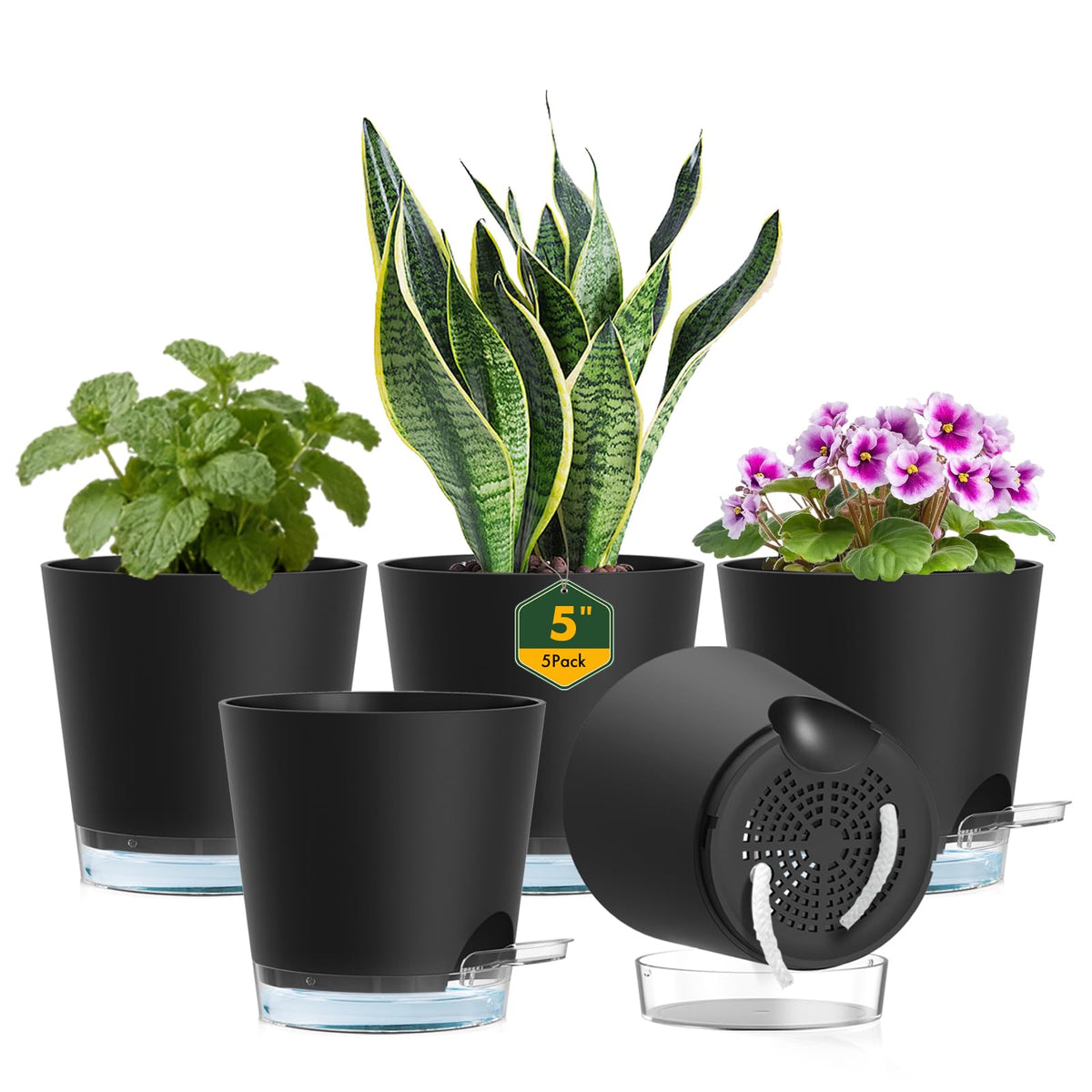 Meowell 5in self-watering pot with clear reservoir for easy water checks.