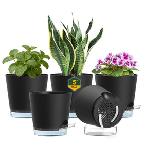 Meowell 5in self-watering pot with clear reservoir for easy water checks.