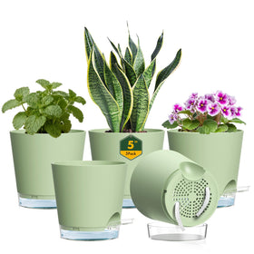 Meowell 5-inch pot with visible water reservoir for easy hydration monitoring