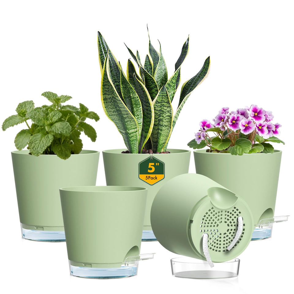 Meowell 5-inch pot with visible water reservoir for easy hydration monitoring