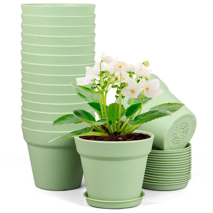 Meowell 6-inch plastic nursery pot in a sturdy, lightweight design for easy plant organization