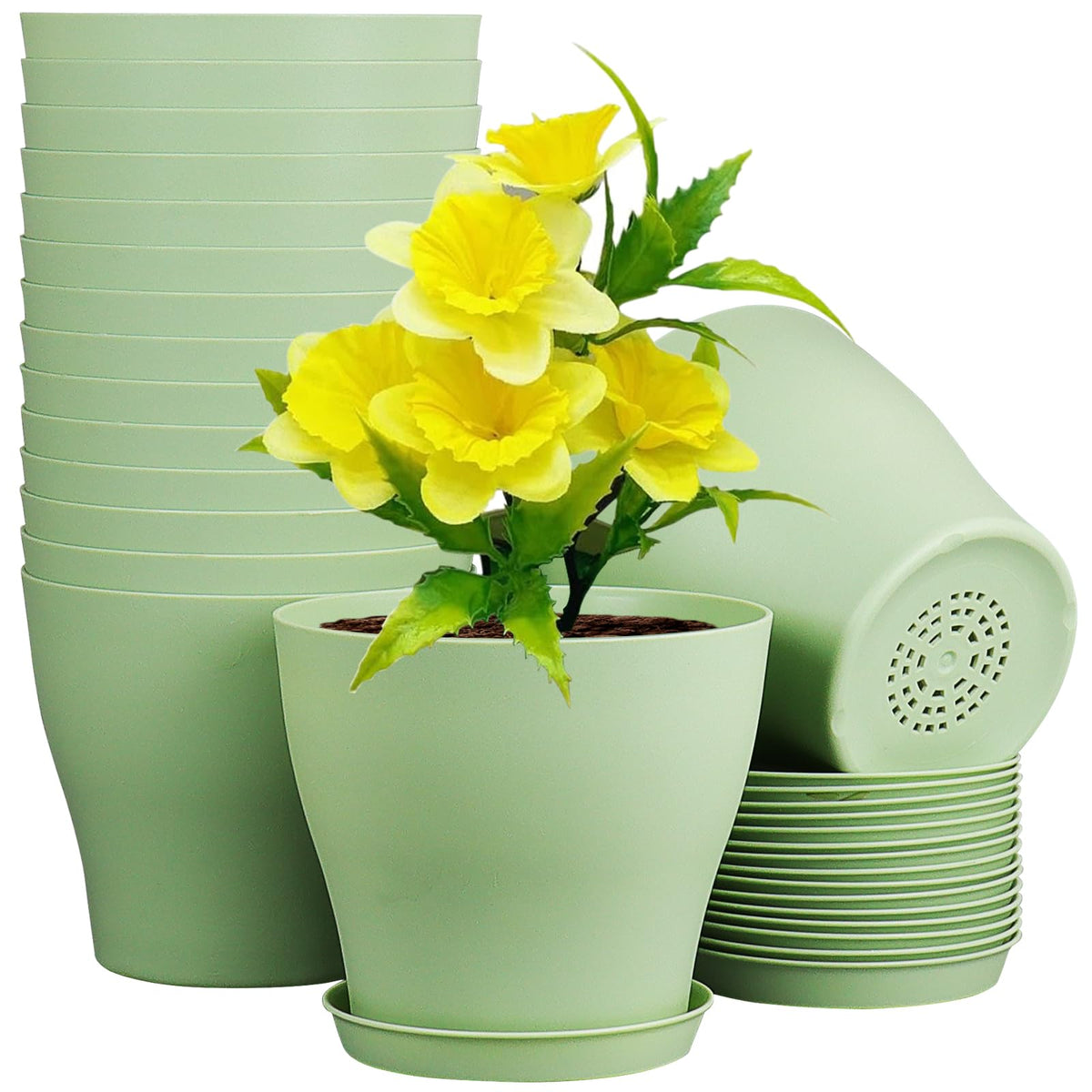 Meowell 6-inch plastic nursery pot with drainage holes for healthy watering.