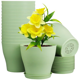 Meowell 6-inch plastic nursery pot with drainage holes for healthy watering.