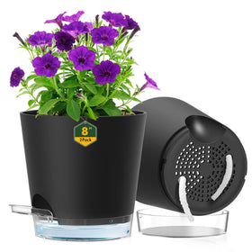 Meowell 8-inch self-watering pot with clear reservoir for easy water checks