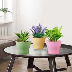 Meowell colorful small plant pots pack brightening indoor spaces.