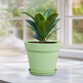 Meowell DIY-friendly pots invite color and creativity for kids and families