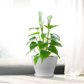 Meowell kid-friendly color pots for family DIY projects.