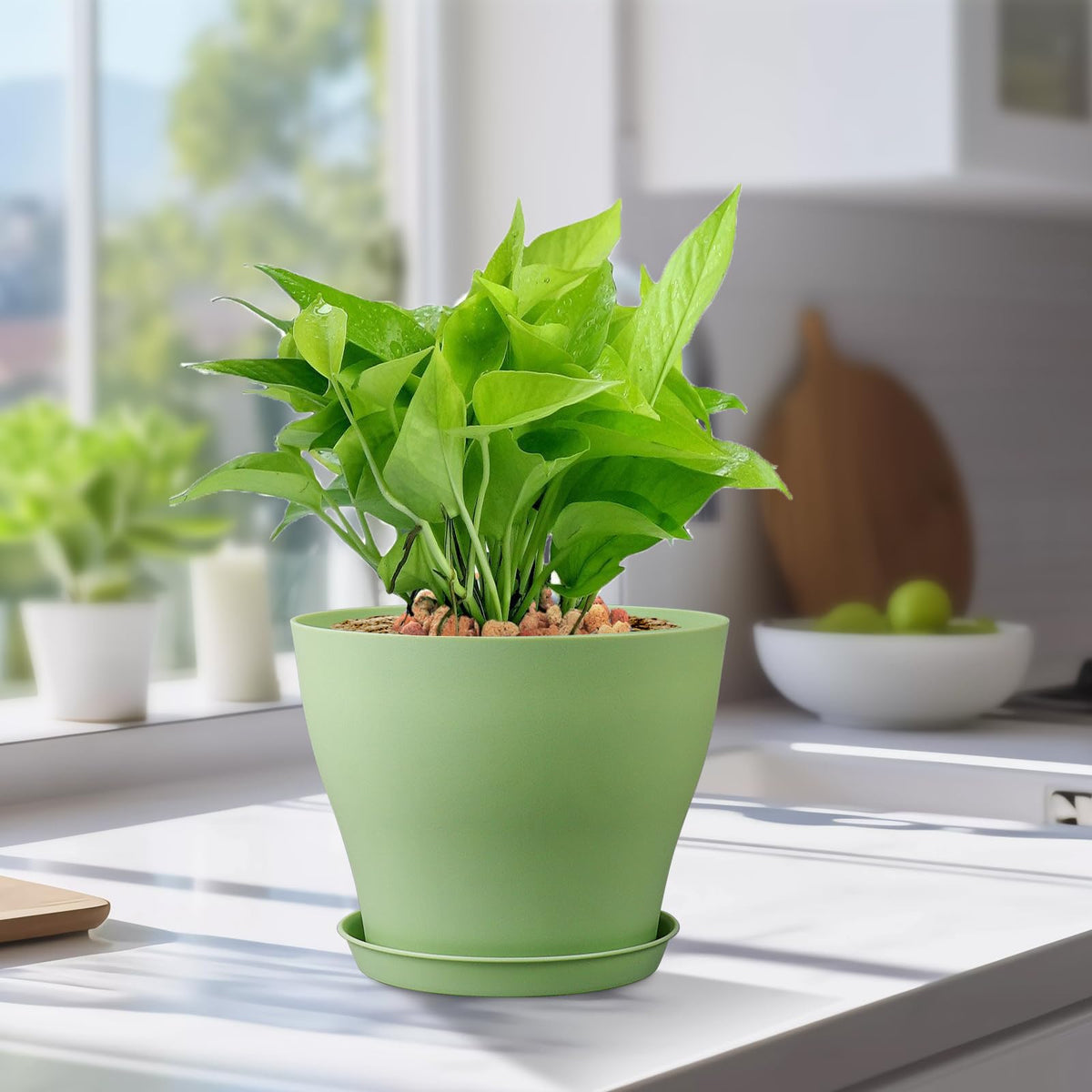 Meowell DIY pots invite color customization for kids' crafts.