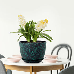Meowell planters bring color and structure to patios and balconies.