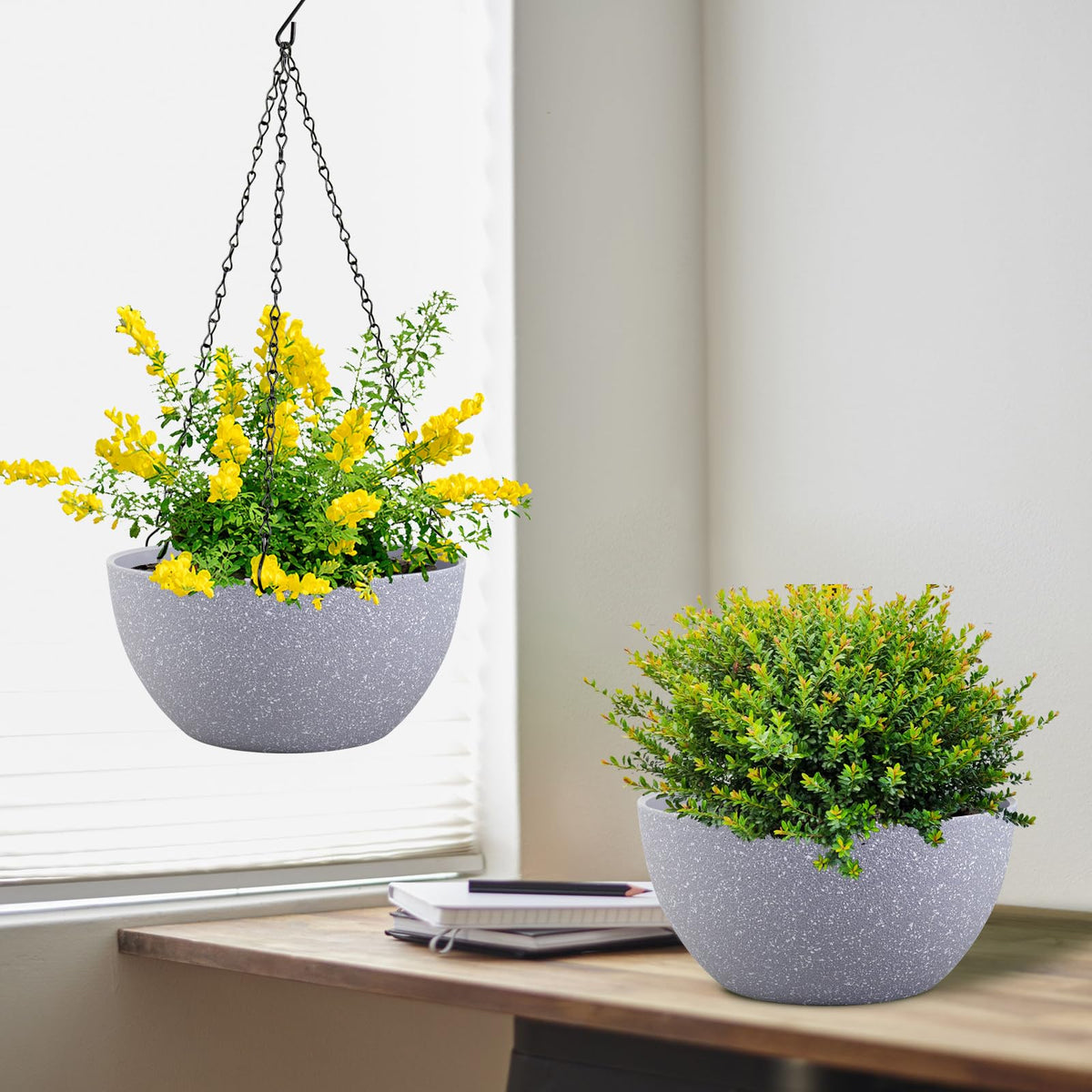 Meowell indoor hanging planter setup ideal for living rooms.