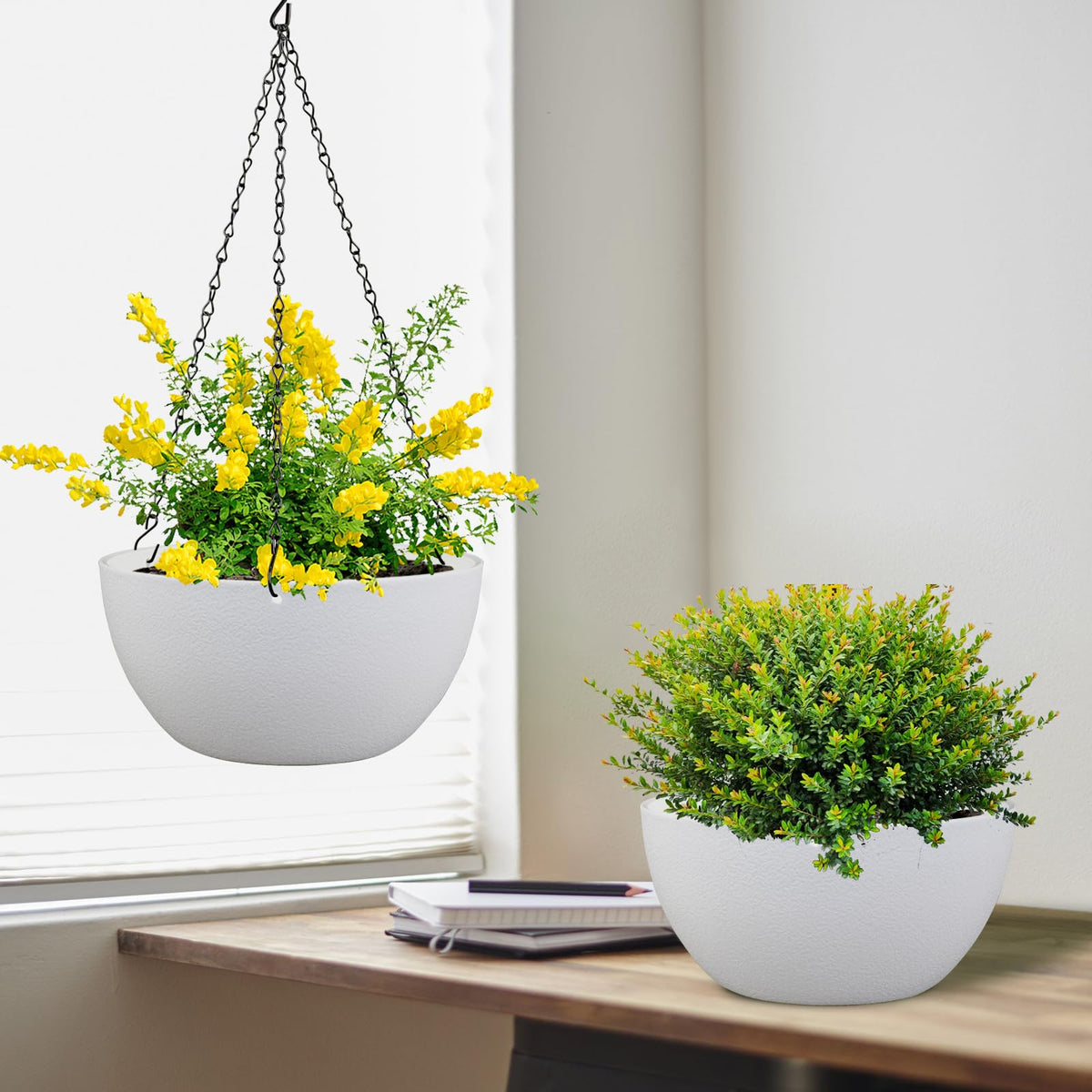 Meowell planter with iron chain for easy hanging