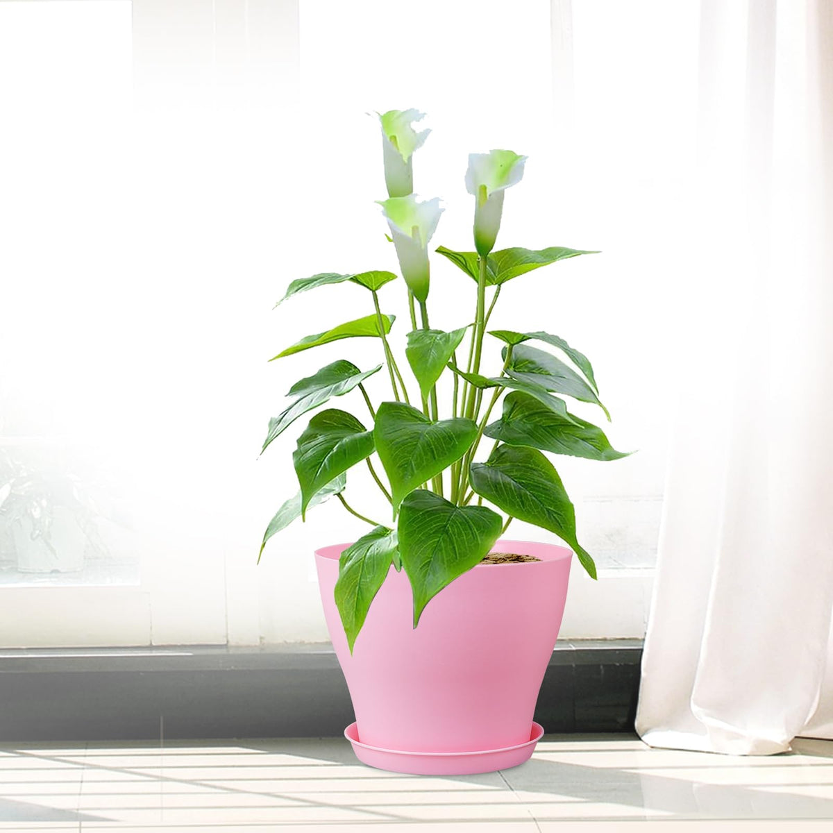 Meowell seedling starter pots on display for easy balcony or desk gardening.