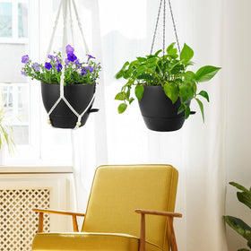Meowell self-watering hanger suitable for indoor and outdoor spaces.