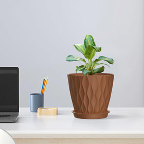 Meowell indoor-outdoor plant pots for versatile home décor.
