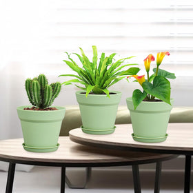 Meowell indoor-outdoor plastic nursery pots brighten windowsills with versatile styling