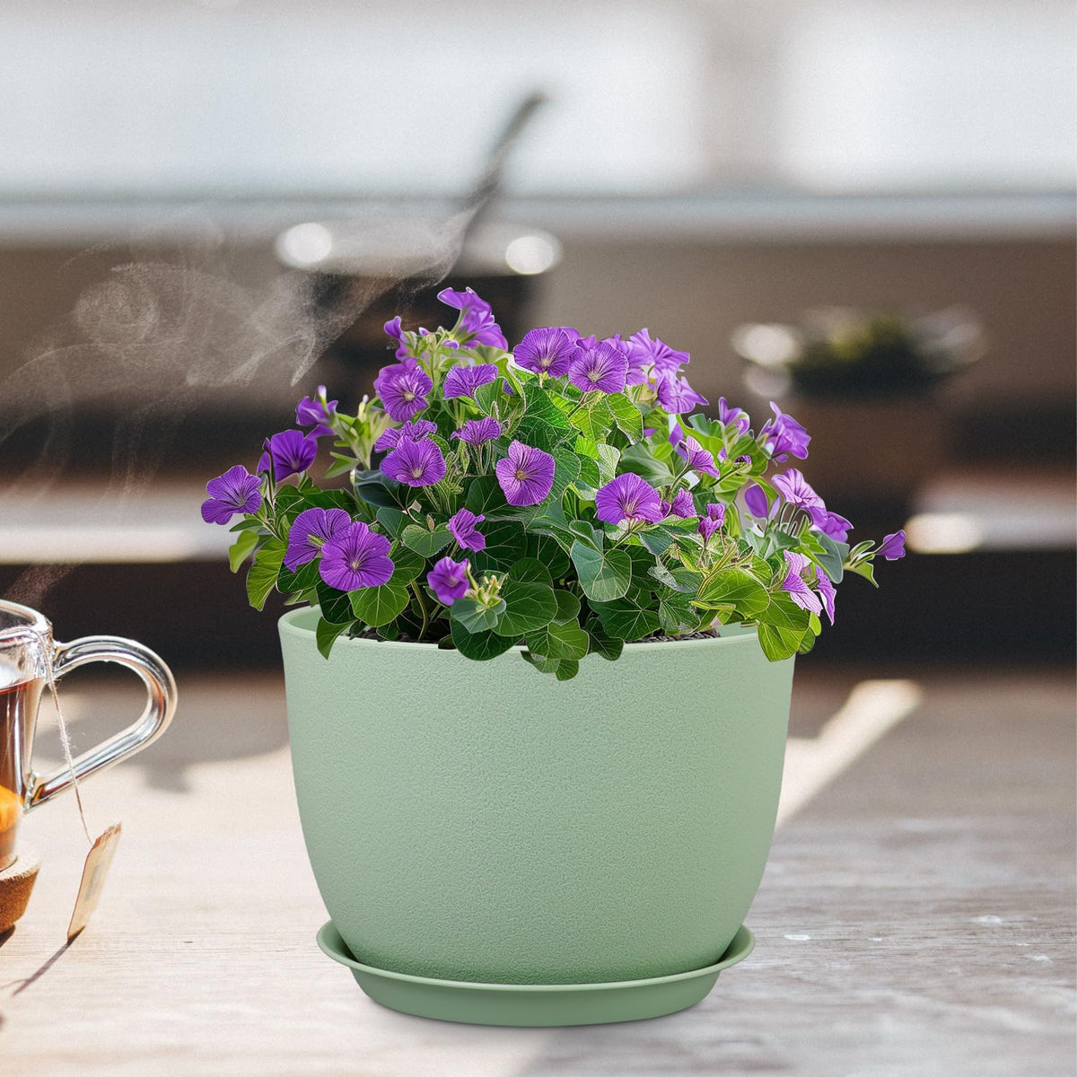 Meowell pot suitable for both indoor and outdoor spaces.