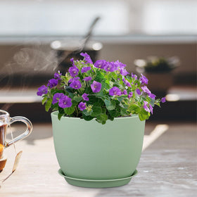 Meowell pot suitable for both indoor and outdoor spaces.