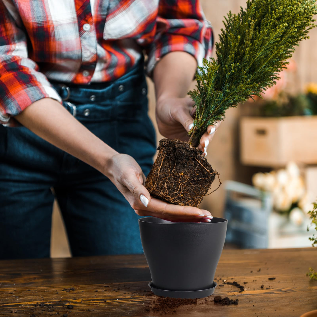 Meowell matte finish minimalist planter for a modern home look.