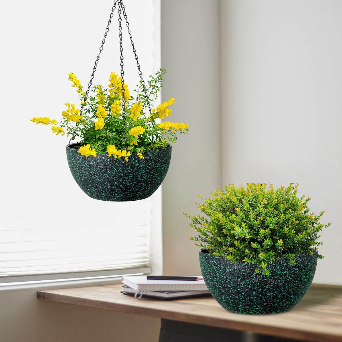 Matte finish Meowell planter adds a contemporary touch to home décor