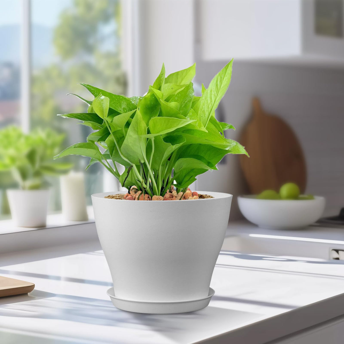 Meowell modern matte finish planter with minimalist style.