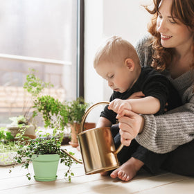 Meowell modern minimalist plastic nursery pot with matte finish complements home décor