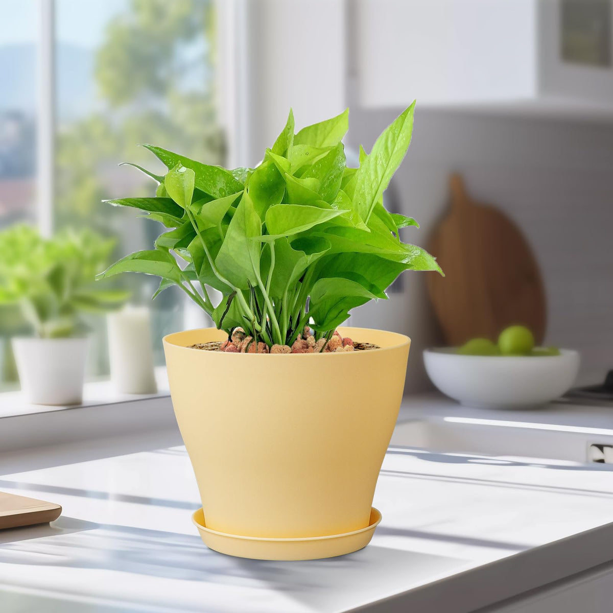 Meowell modern minimalist planter for windowsills, shelves, and decor.