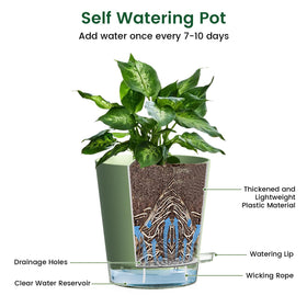 Multi-purpose Meowell self-watering pot for indoor plants