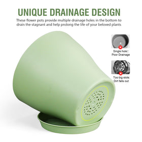 Meowell reusable seedling pots suitable for succulents, herbs, and small plants.