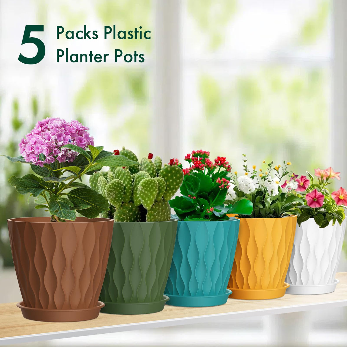 Meowell multicolor water ripple pot set adds color to plant displays.