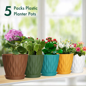 Meowell multicolor water ripple pot set adds color to plant displays.