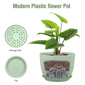 Meowell pot available in multiple colors to match decor and plant types.