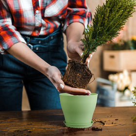 Meowell durable, lightweight pots designed for repeated seasonal use.