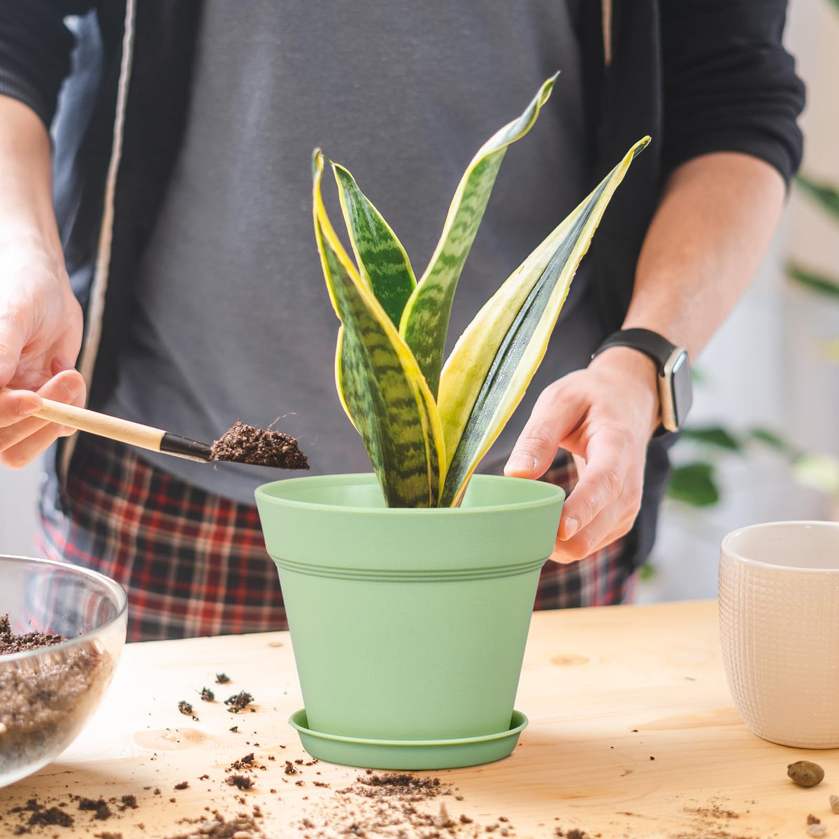 Meowell plastic nursery pots with saucers catch excess water and keep spaces tidy