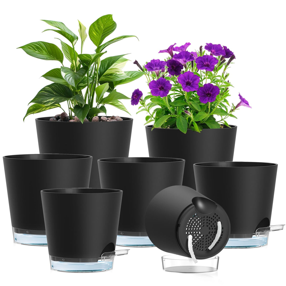 Meowell self-watering pot 8-inch reservoir visible for simple watering management.