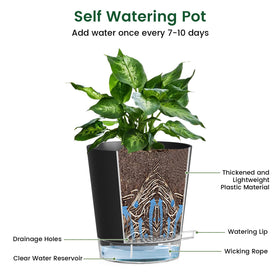 Meowell pot with drainage holes supports healthy roots and drainage.