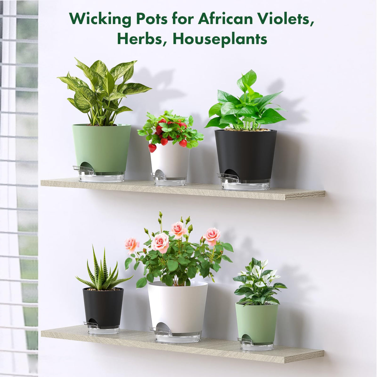 Meowell self-watering pot 4-inch perfect for compact succulents