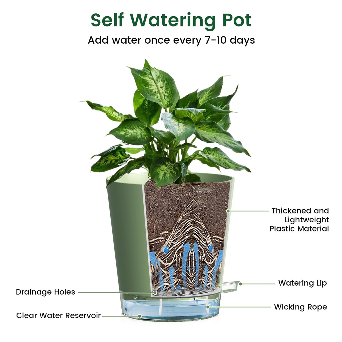 Meowell self-watering pot 6-inch for stylish desk plant displays