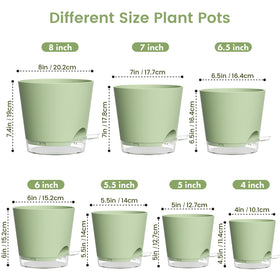 Meowell self-watering pot 7-inch with transparent saucer to track moisture