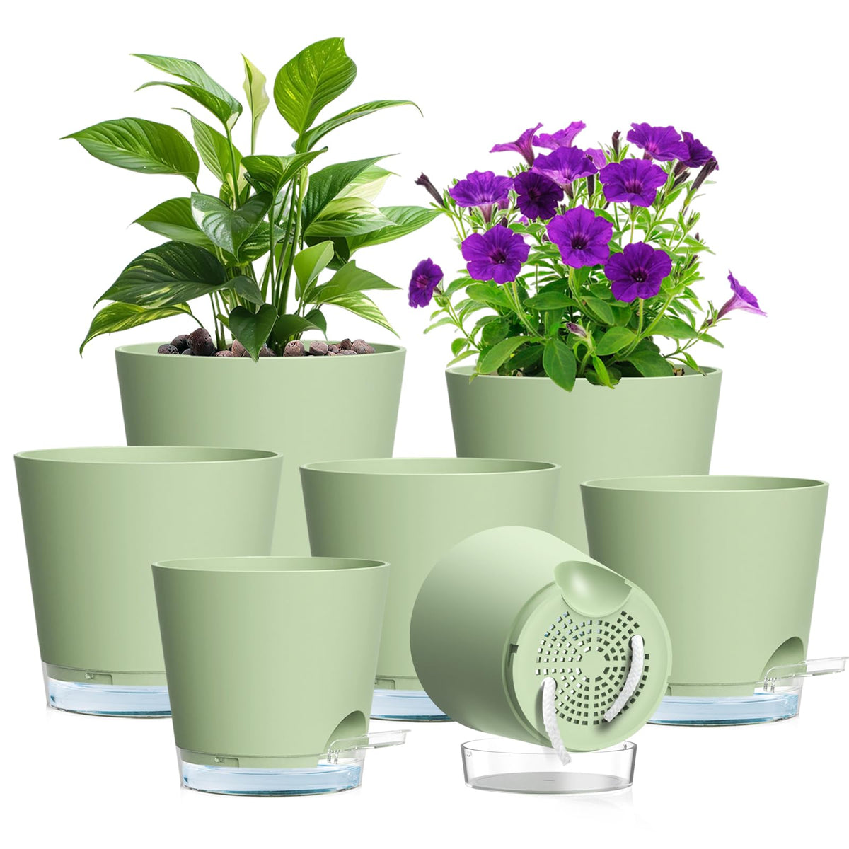 Meowell self-watering pot 8-inch with visible water level for easy monitoring