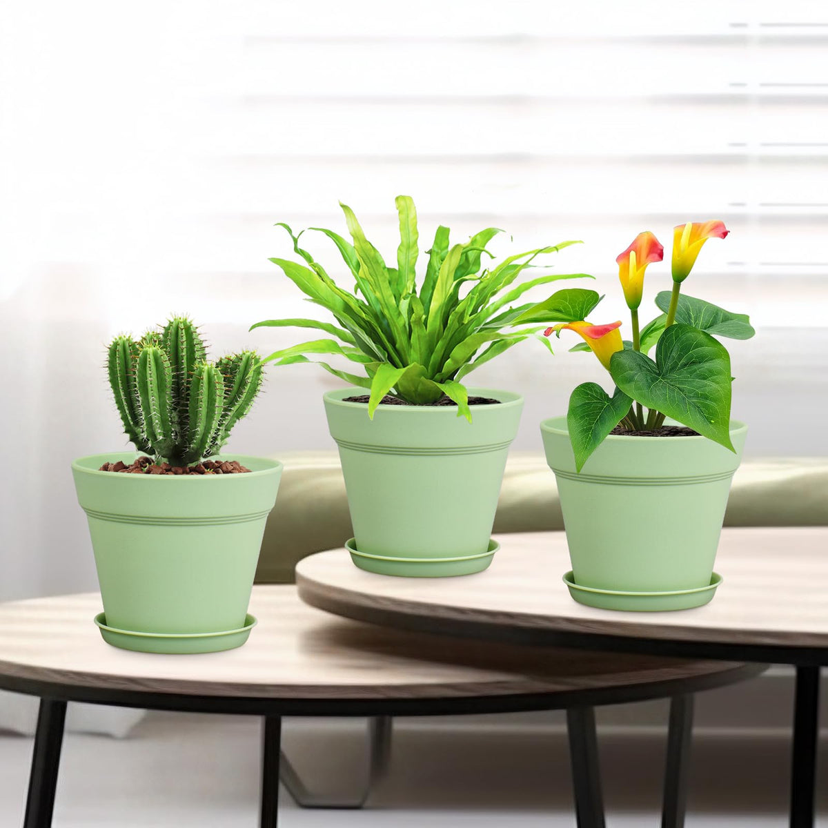 Meowell stackable pots for easy storage and rearranging