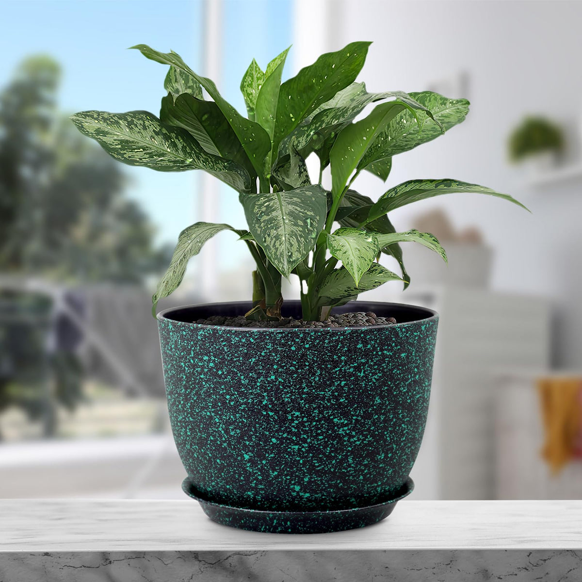 Meowell transplant-ready pot ideal for upgrading plant containers.