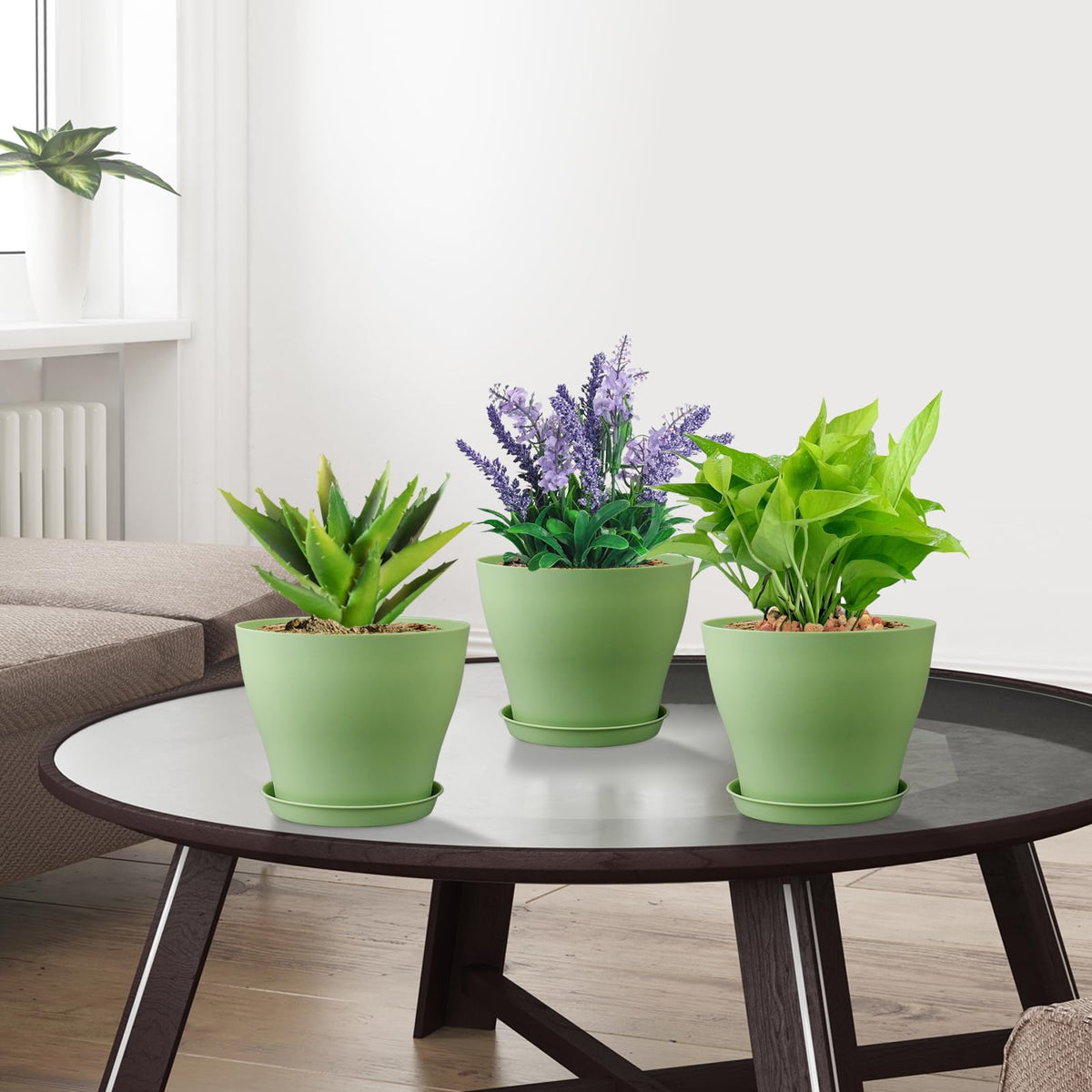 Meowell windowsill planter display shows compact herbs and flowers.