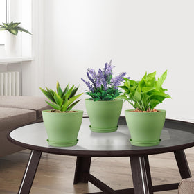 Meowell windowsill planter display shows compact herbs and flowers.
