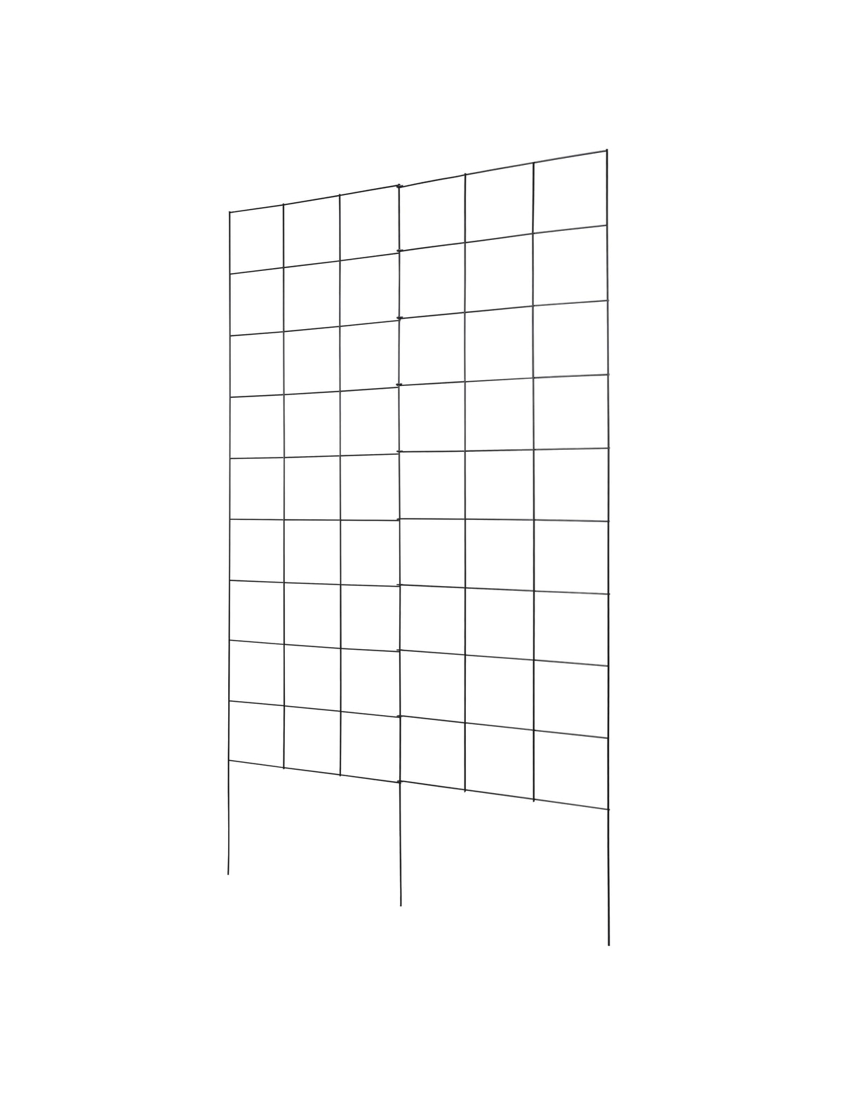 Meranti trellis supports climbing plants like tomatoes and beans