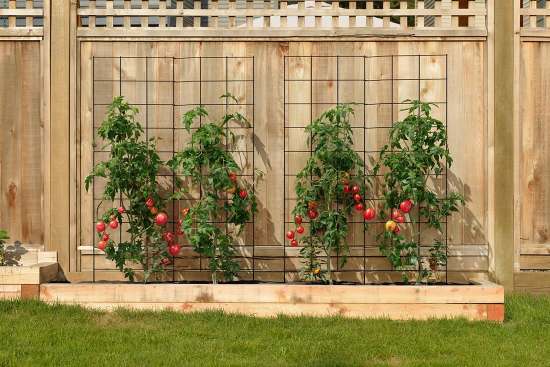 Meranti garden trellis with ten-and-a-quarter-inch anchors stabilizes in soil