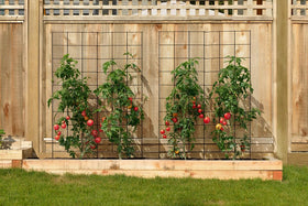Meranti garden trellis with ten-and-a-quarter-inch anchors stabilizes in soil