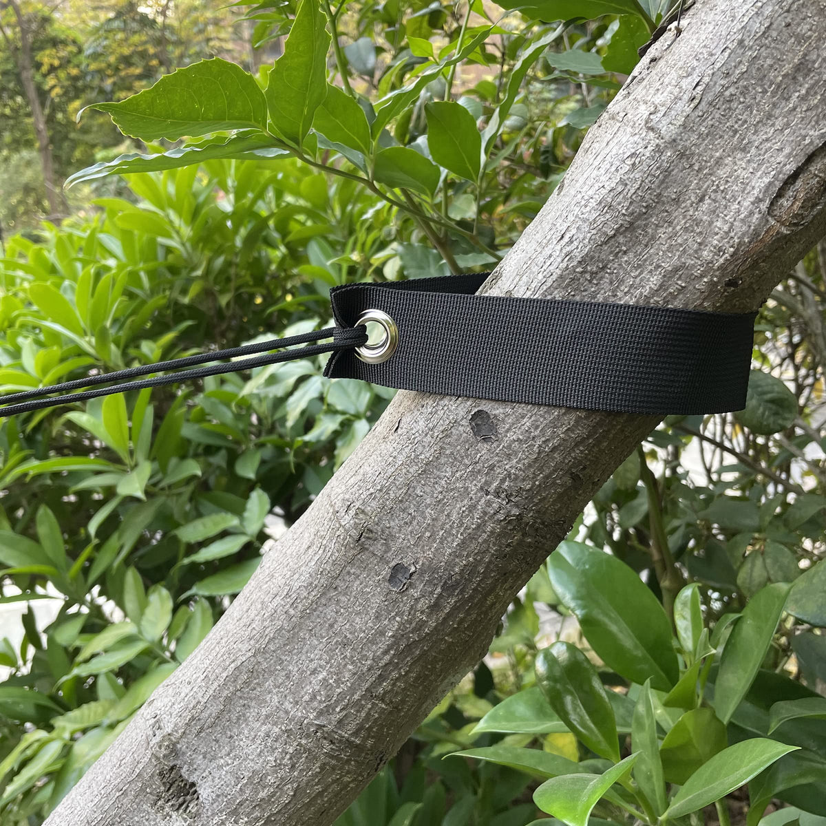 Mesench garden tree-support kit protects new plantings in windy weather.