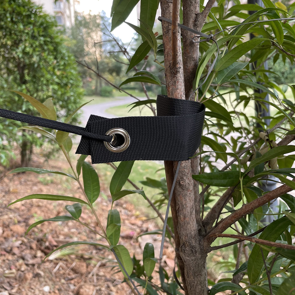 Mesench durable straps enable tent setup and outdoor tree support.