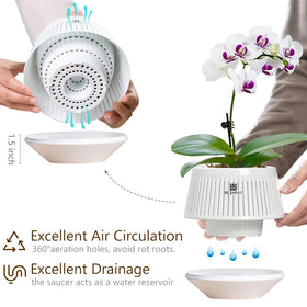 Meshpot set of 3 orchid pots with saucers enhances decor