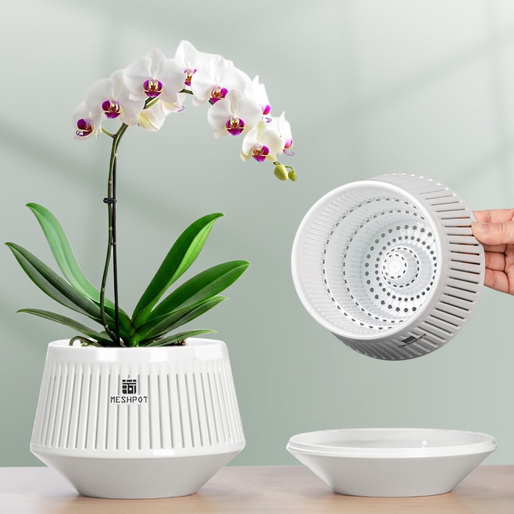 Meshpot 5-inch orchid pot with holes inside and outside for air pruning and healthy roots